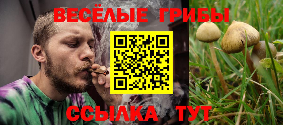 Псилоцибиновые грибы прущие грибы  Вход с VPN  наркота  Нерюнгри 